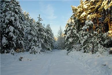 科幻惊悚游戏《无敌号》16分钟全新实机试玩